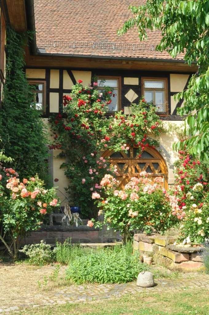 Gaestezimmer - Fuhrhalterei Maul Breuberg Exterior foto